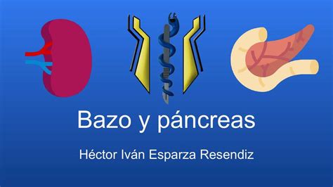 Bazo Y P Ncreas H Ctor Iv N Esparza Resendiz Udocz