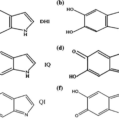 Monomeric Building Blocks Of Eumelanin Structure Download