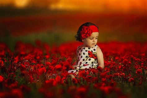 HD wallpaper: Photography, Child, Depth Of Field, Flower, Girl, Little ...