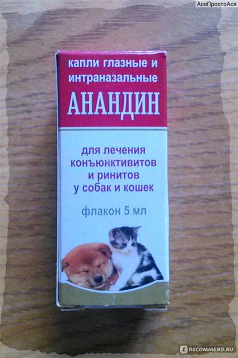 Советы, как правильно применять капли в уши и уколы анандин кошке
