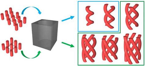 Emergence Of Multi Strand Helices From The Self Assembly Of AB Type