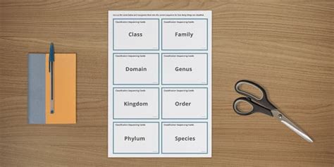 Classification Sequencing Cards Hecho Por Educadores