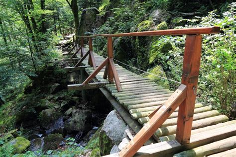 Small Bridge In The Valley Of Munster Stock Photo Image Of Forest