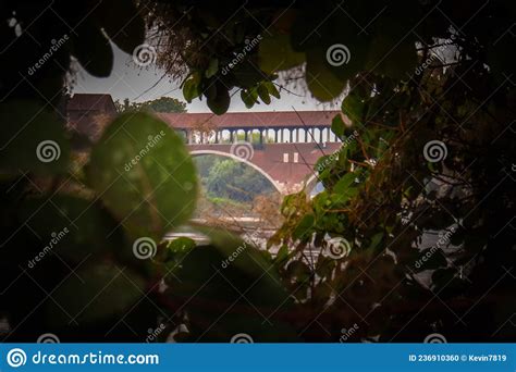 Pavia bridge stock photo. Image of panoramic, downtown - 236910360