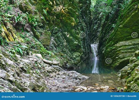 Garganta Bonita Coberta Com O Musgo E A Hera Com Um Rio Calmo E Uma