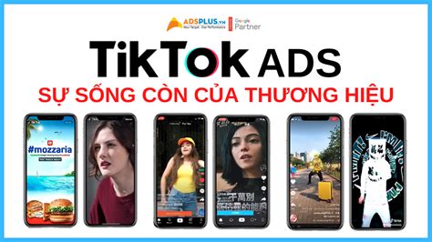 Chạy Quảng Cáo Tiktok Nắm Giữ Sự Sống Còn Của Thương Hiệu