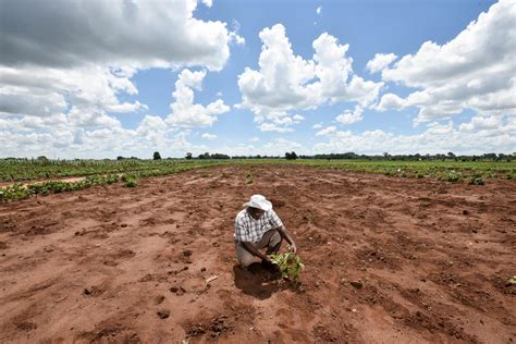 Severe Land Degradation in Malawi - The Borgen Project