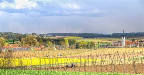 Hopfenland Hallertau Tourismus e.V.: Informationen und Neuigkeiten | XING