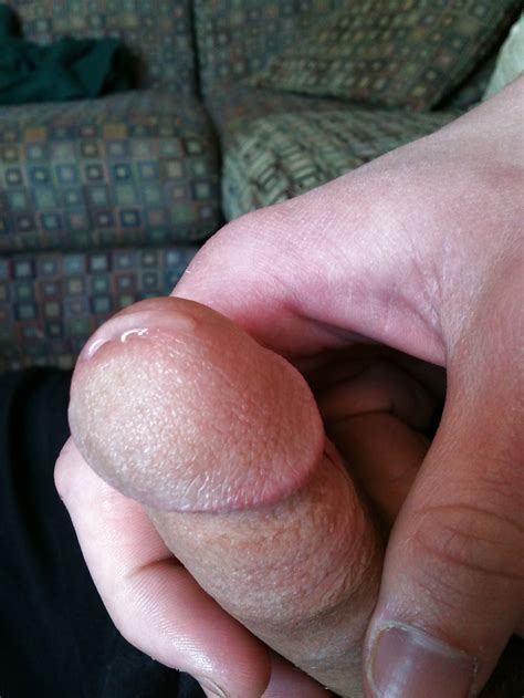 Oozing Precum Edging Porn Pictures XXX Photos Sex Images 1066923 PICTOA