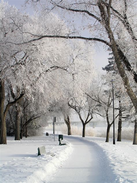 Inexpensive Things to Do in Saskatoon over the Holidays with Your ...