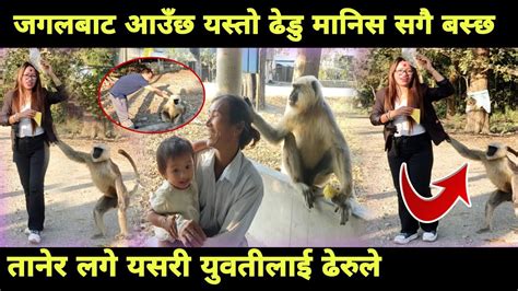 morang news अह कसत अचममक ढड बटम हडन लई तनर लगपछ