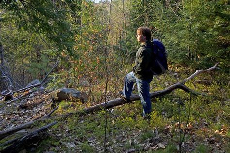 Milan New Hampshire Protects 577 Acres For Community Forest — Atra