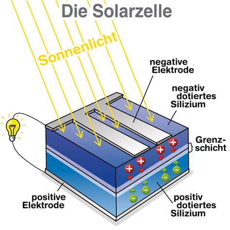 N Typ Solarzellen Modulklassiker Der Neuen Generation