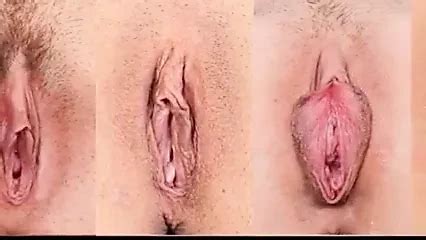 Enormously Huge Meat Curtains And Clit With Hair Pussy Close Up Close Up Porn XHamster