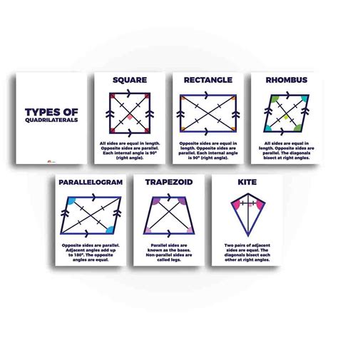 Types of Quadrilaterals Math Classroom Poster and Anchor Charts - Prin – Sproutbrite