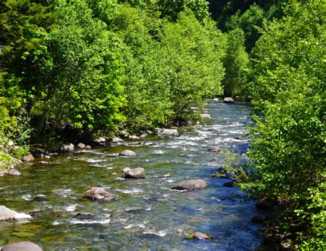 What are Watersheds? - APIFM 
