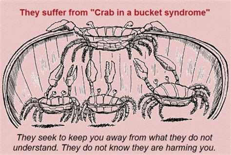 Crabs in a bucket - Work @ Home RockStar