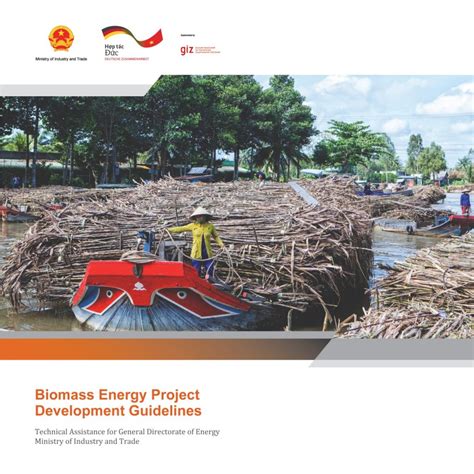 Biomass Energy Project Development Guidelines – Viet-Nam-Energy ...