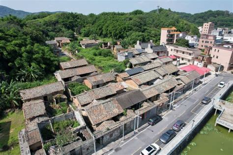 广州莲塘村游玩攻略简介广州莲塘村门票地址图片开放时间照片门票价格【携程攻略】