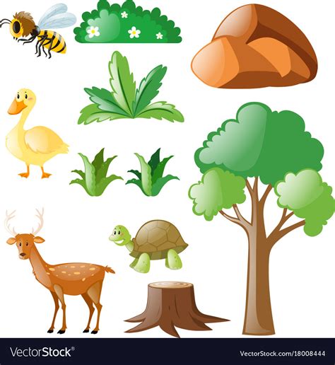 Animals And Plants