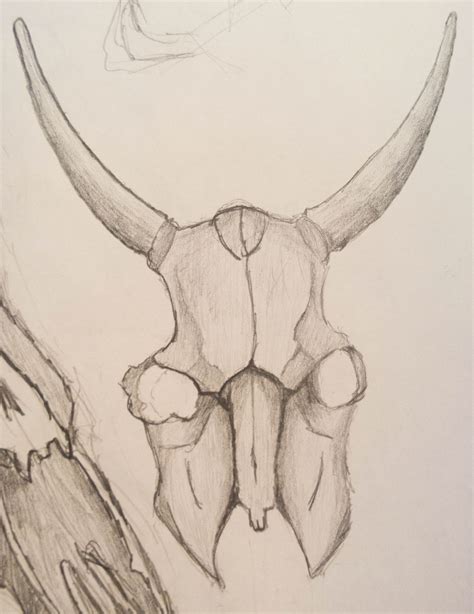 Cow skull sketch by lezymadafuka on DeviantArt