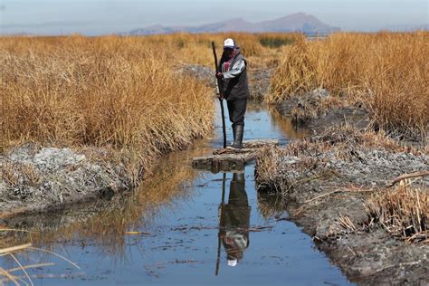 Sequía y desesperanza ponen en riesgo la vida alrededor del gran lago