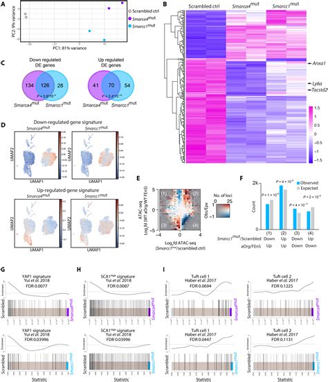 An Organoid Based Crispr Cas Screen For Regulators Of Intestinal