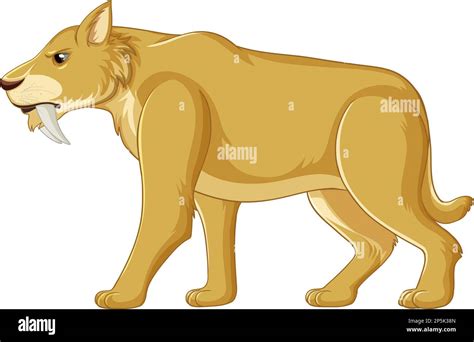 Saber Toothed cat vector illustration Stock Vector Image & Art - Alamy