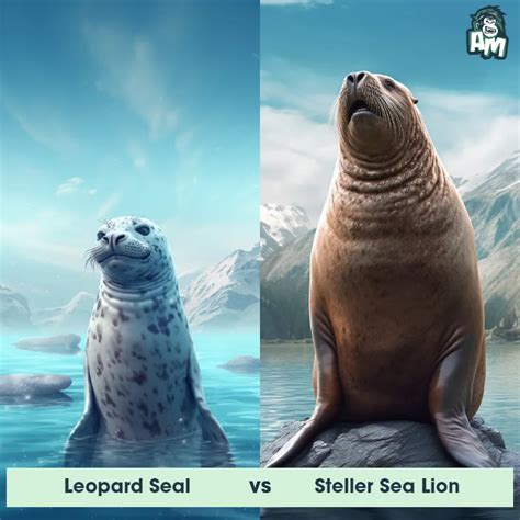 leopard seal vs sea lion Seal lion sea vs keep chart simple things ...