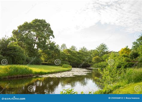 Beautiful Landscape Of Park Trees Located Along The Bank Of The Canal