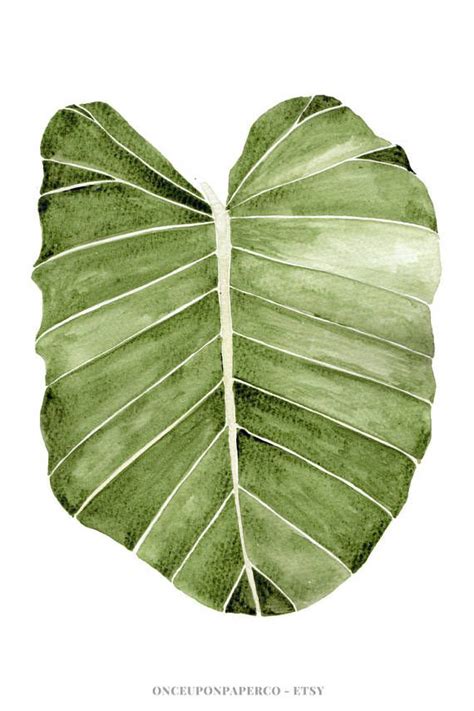 Tropical Print, Palm Leaf, Palm Print, Plant Print, Banana Leaves, Tropical Leaf, Palm Leaves ...