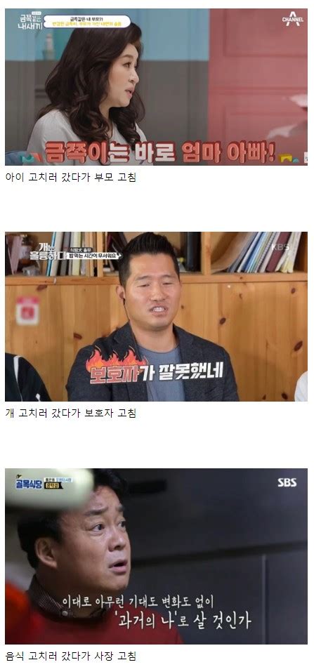 오은영 강형욱 백종원 특징 에누리 쇼핑지식 자유게시판