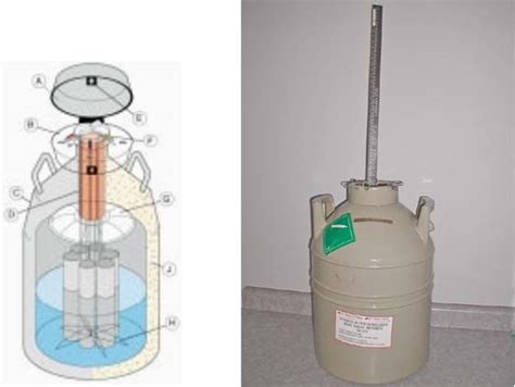 Liquid Nitrogen Tank Cell Storage