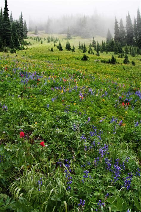 Pacific Crest Trail In Washington Blog Andy Porter Images