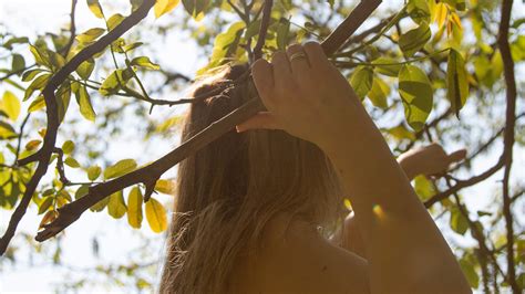 Allergien Und Das Immunsystem Wie Entstehen Allergien