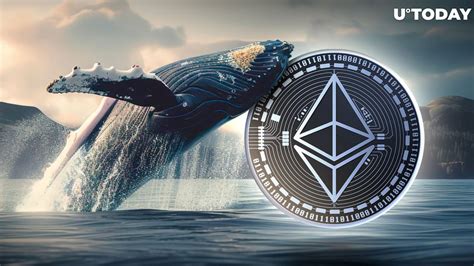 Massive Ethereum Whale Shifts 15000 Eth In Staking Move