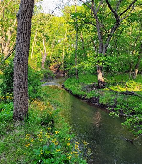 Big Brook Preserve Colts Neck All You Need To Know