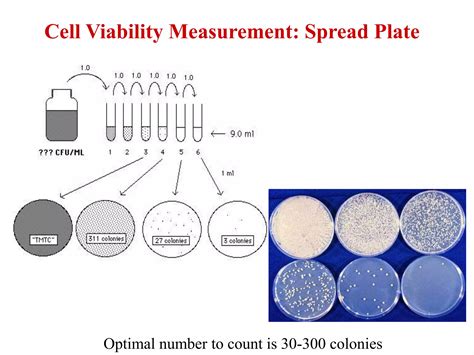 Measuring Microbial Growthppt