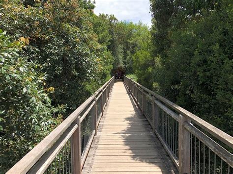 Skywalk Lookout - Aussie Bushwalking