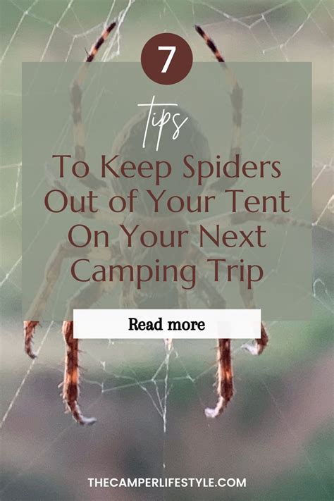 7 Tips For How To Keep Spiders Out Of Your Tent 2021 In 2021 Camping For Beginners Camping