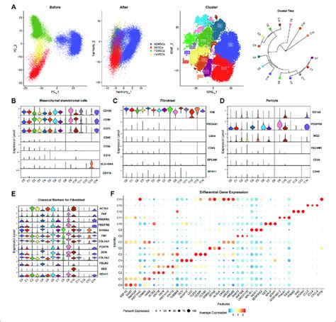 Characterization Of The 15 Cell Subsets Derived From Admscs Bmscs Download Scientific