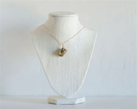 Snail Shell Necklace Snail Shell Jewelry Real Snail Shell | Etsy