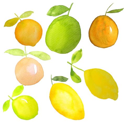 Premium Photo Orange Lemon Mango Fruits Watercolor Painting