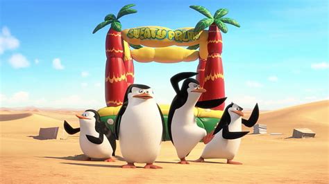 Penguins Of Madagascar Movie Photoshoot Hd Wallpaper Wallpaperbetter