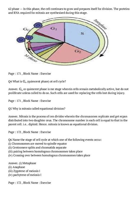 Ncert Solutions For Class 11 Biology Chapter 10 Cell Cycle And Cell