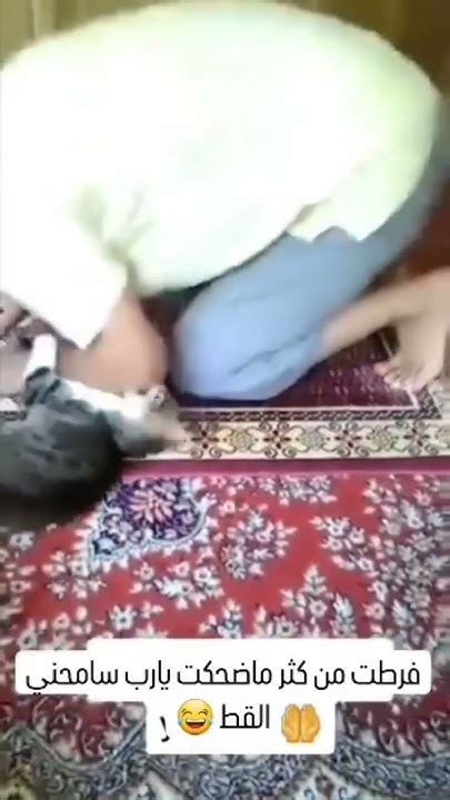 فرطت من كثر ما ضحكت القط يارب سامحني 😂😂😂😂 The Cat Laughed Excessively