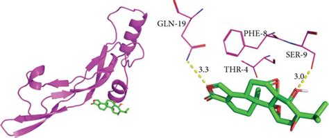 Molecular Models Of Triptolide Binding To The Predicted Targets A