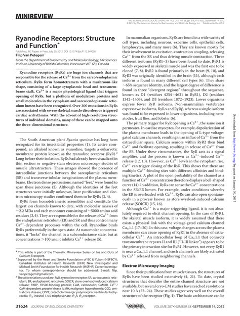 PDF Ryanodine Receptors Structure And Function