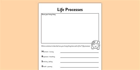 Seven Life Processes Worksheet (Teacher-Made) - Twinkl