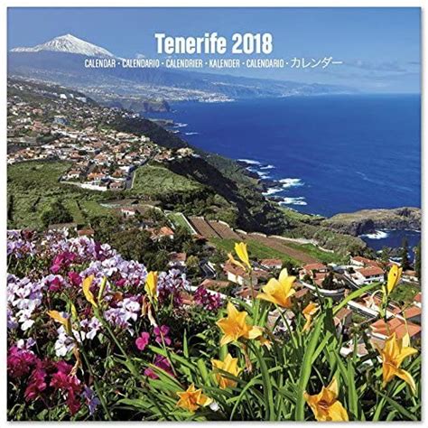 Grupo Erik Editores Kalender 2018 30 X 30 Teneriffa Amazon De